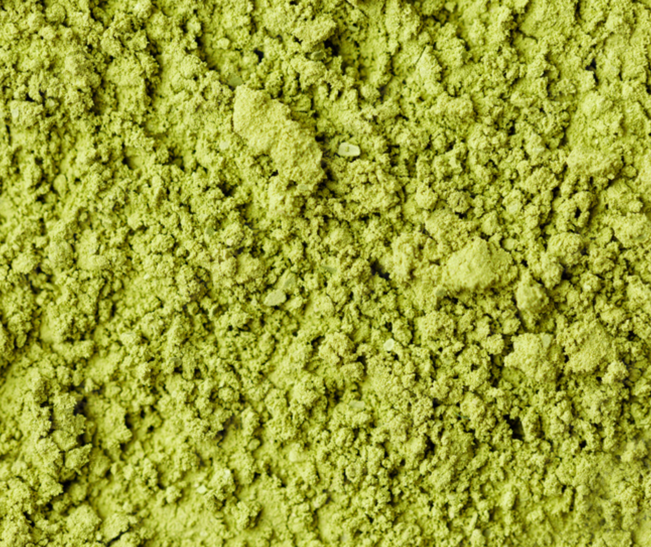 Why All Matcha Isn’t Created Equal: 10 Reasons Sweet Shroom Matcha Stands Above the Rest
