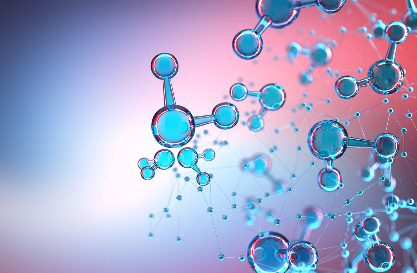 Adaptogens and Gut Health: The Emerging Science