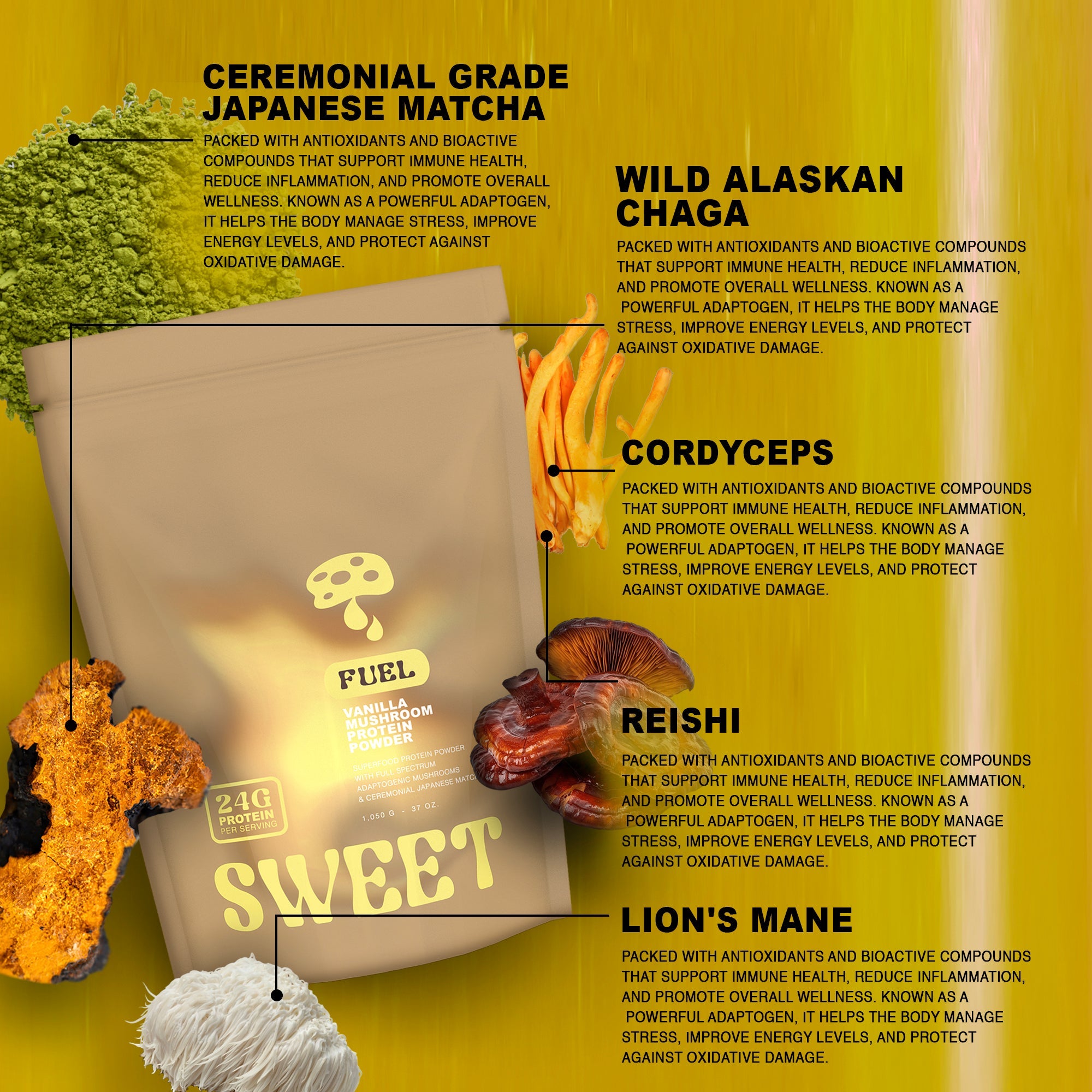 The Power of Japanese Ceremonial Matcha: A Premium Superfood for Mind & Body